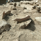 Illustration for article titled Archaeologists Unearth Ancient Clay Pot Shards From Dwelling Of Earliest Known Klutzem/em